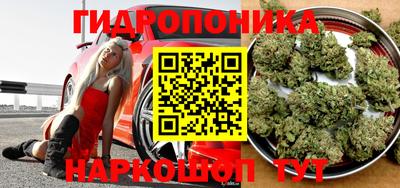 тгк Обнинск