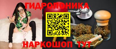 хмурый Обь