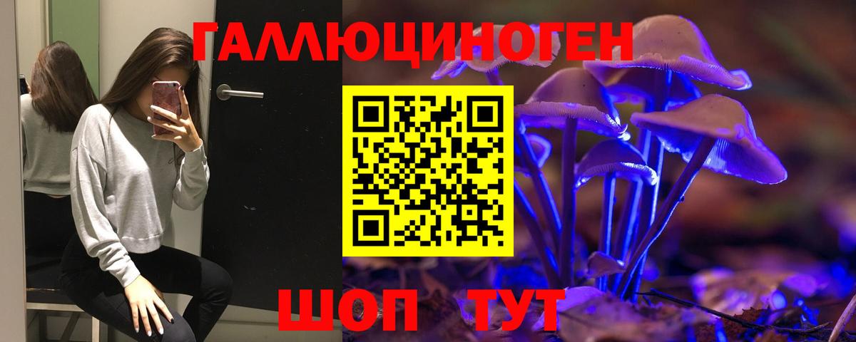 Славгород  Псилоцибиновые грибы Cubensis  Вход с VPN 