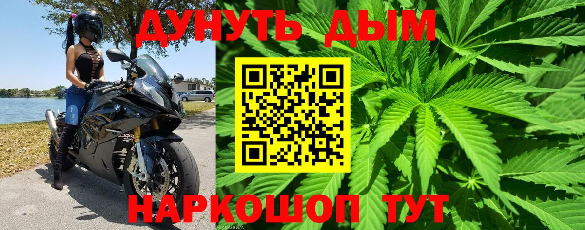 Канабис конопля Славгород